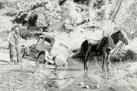 Double Trouble - click to enlarge